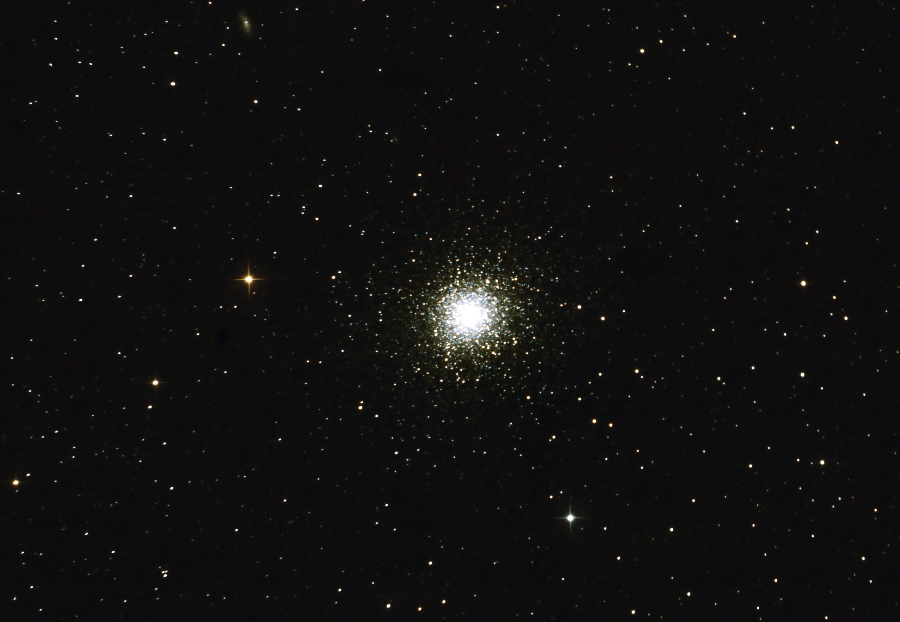 M13.jpg