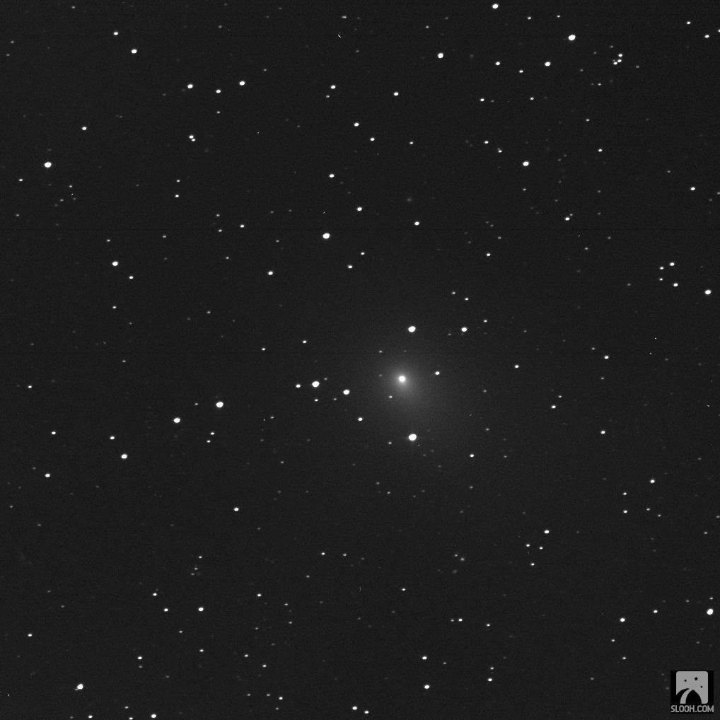 46P Wirtanen_sloo 1_092024p560500_20190127_203124_1_kq9zhv_l.jpg
