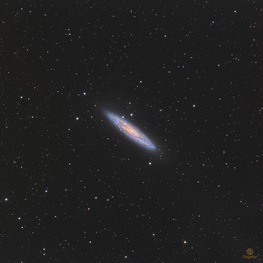 NGC253_LRVBPS_LowRes.jpg
