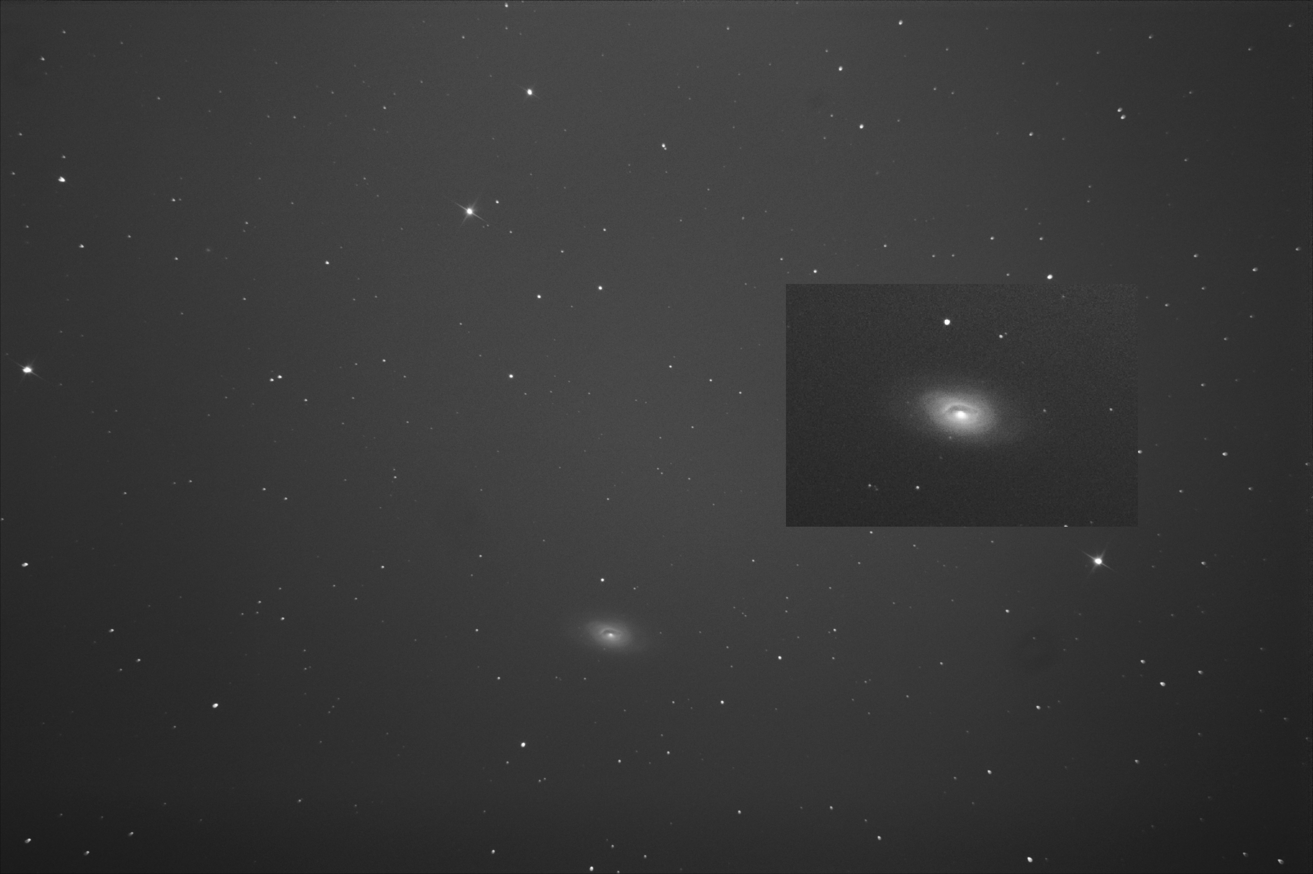 m64 dss paint 2.jpg