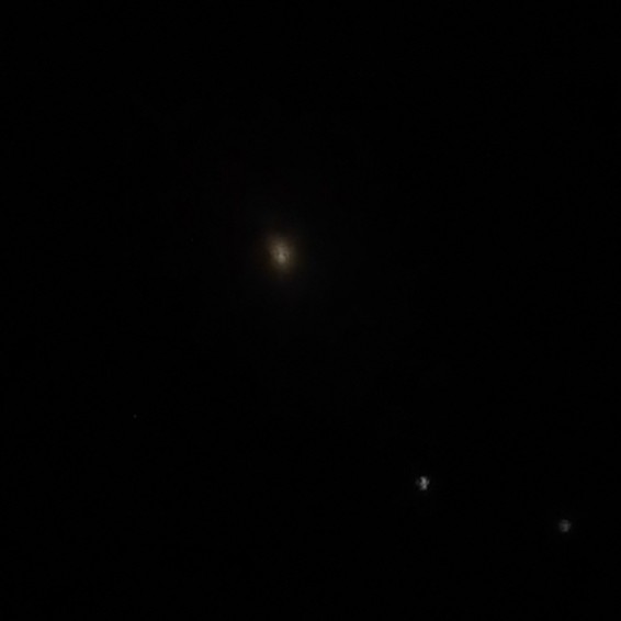 M81