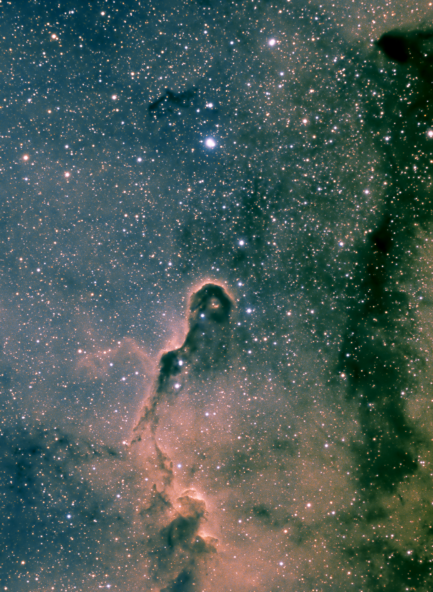 IC1396_SHO_full1.jpg