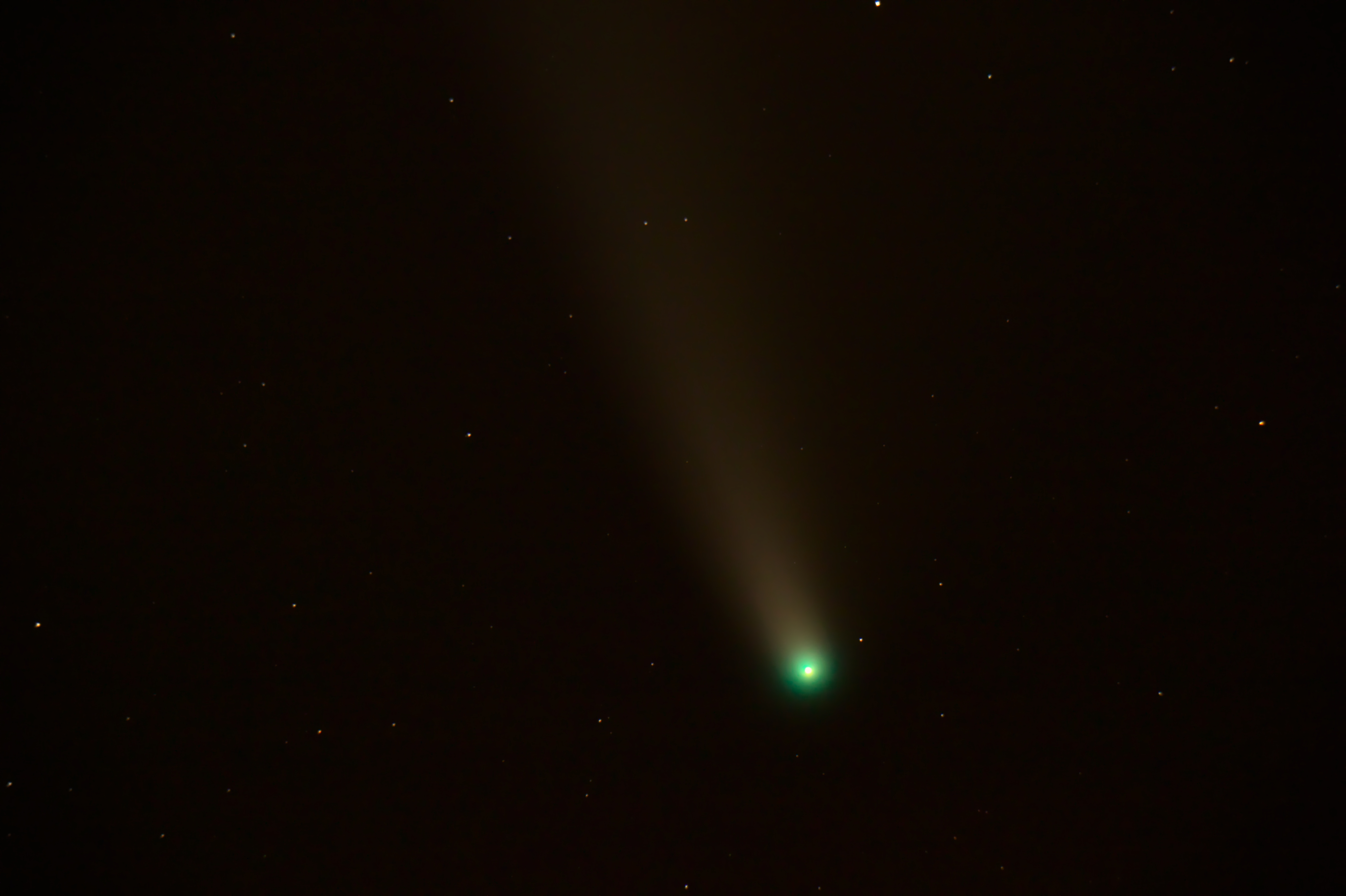 NEOWISE NEWTON.jpg