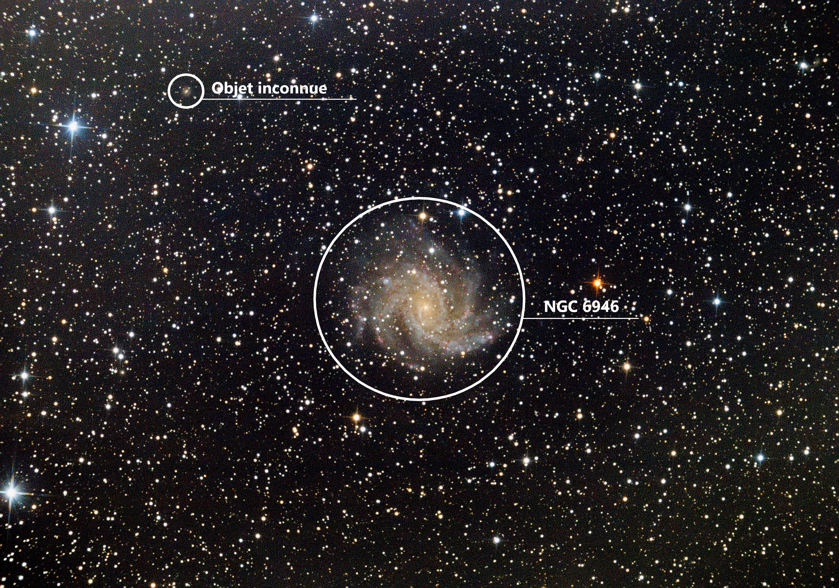 NGC 6946 info.jpeg