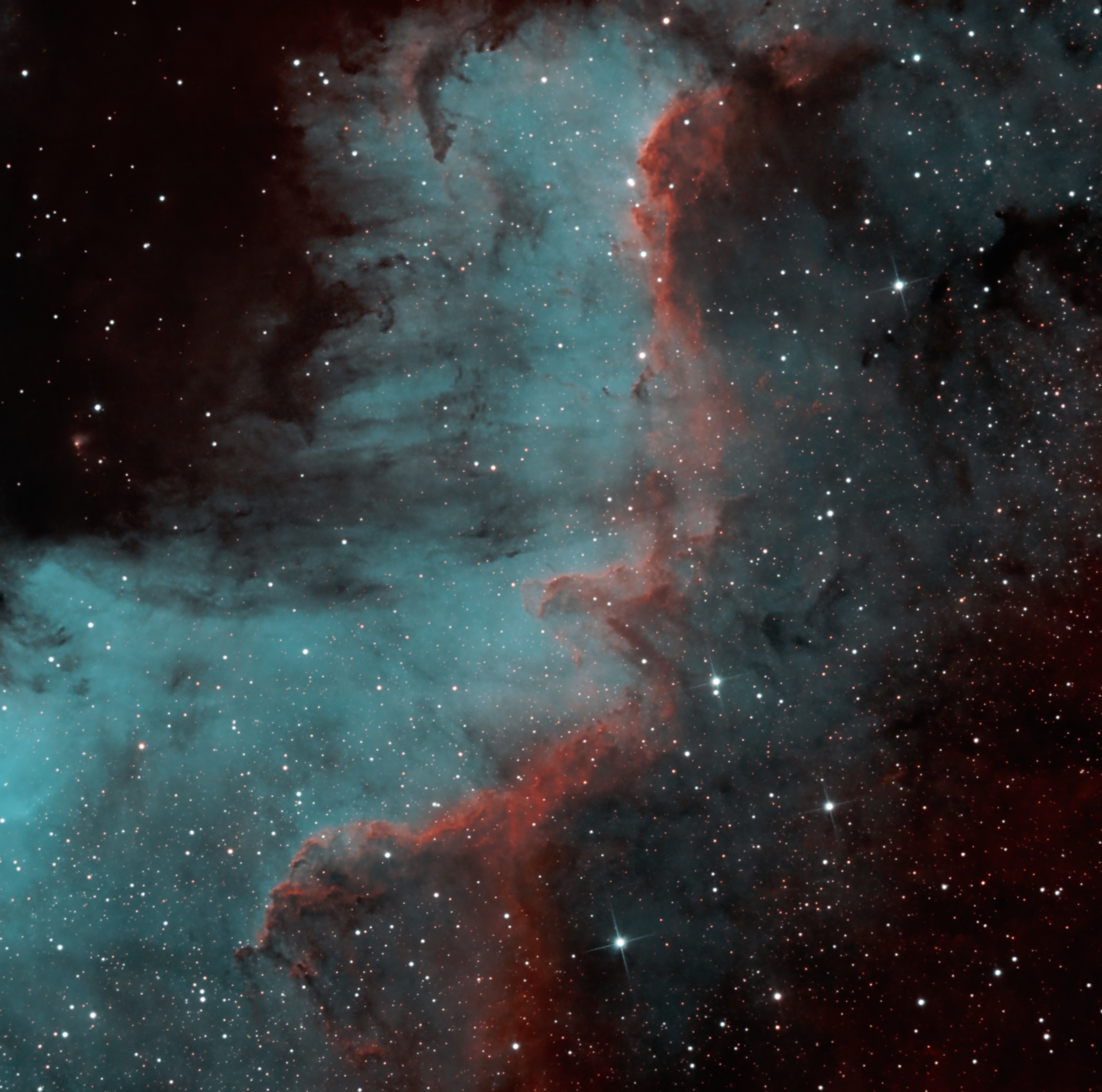 NGC_7000-Mur_du_cygne_HOO.jpg
