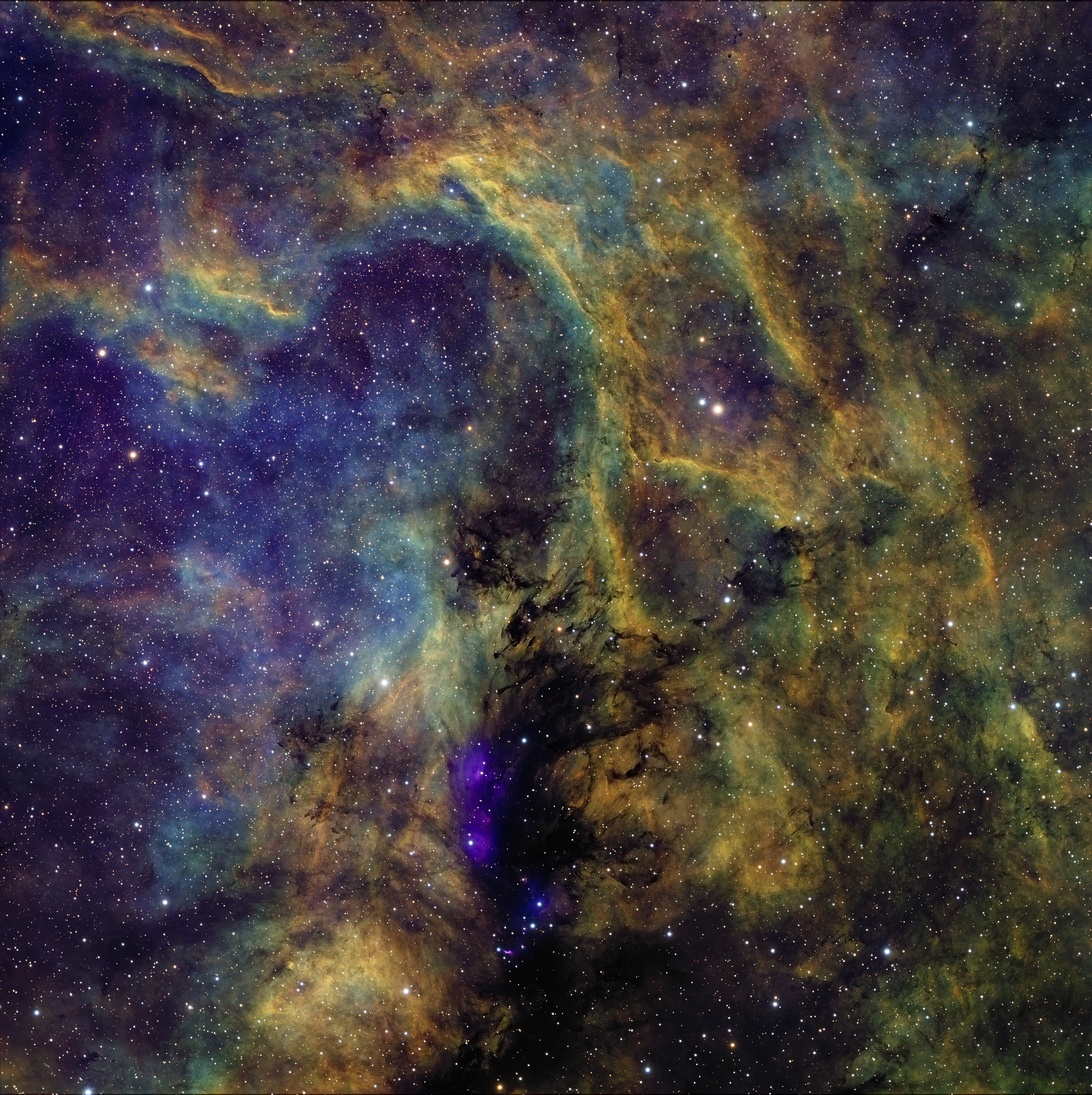 LDN900_palette_SHO_2.jpg